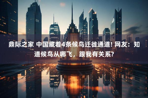 鼎际之家 中国藏着4条候鸟迁徙通道! 网友：知道候鸟从哪飞，跟我有关系?